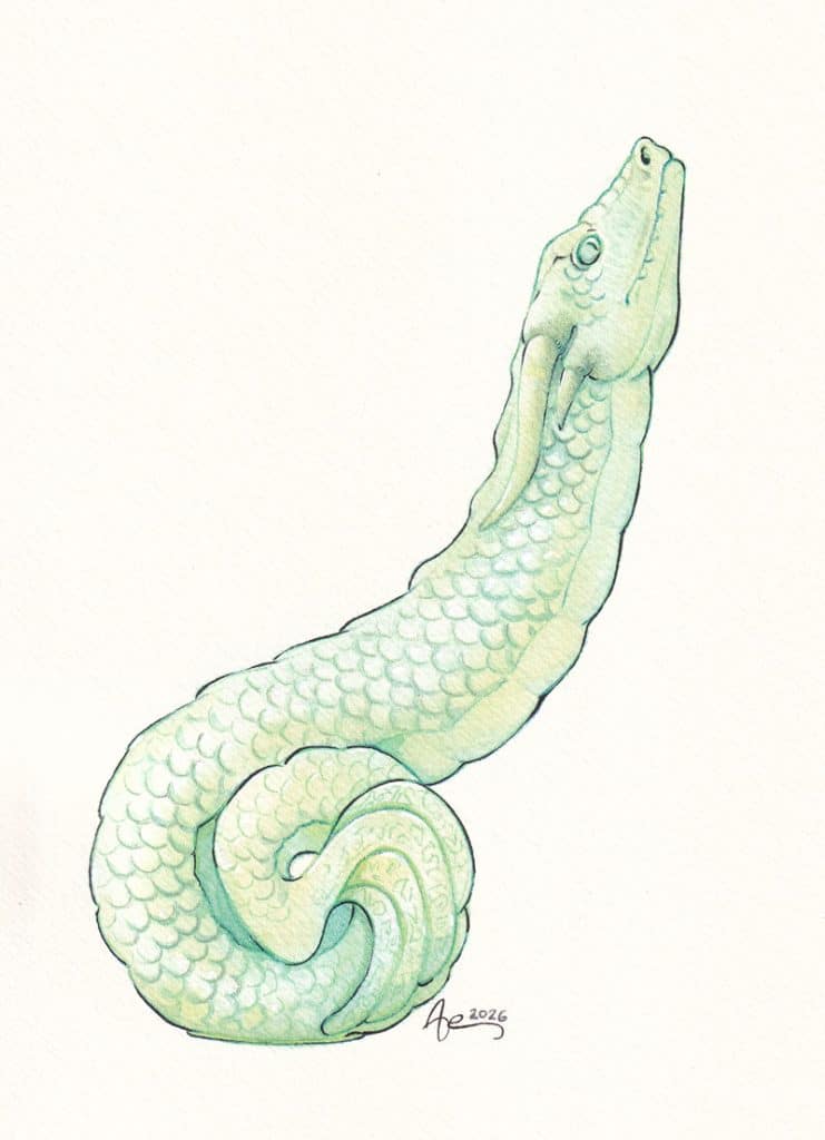 Un jouet sexuel en jade sculpté en forme de dragon de style asiatique.
